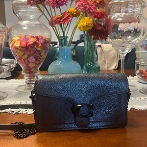 Metallic Coach Tabby Chain Clutch